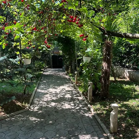 Dante Alighieri 奥帕提亚