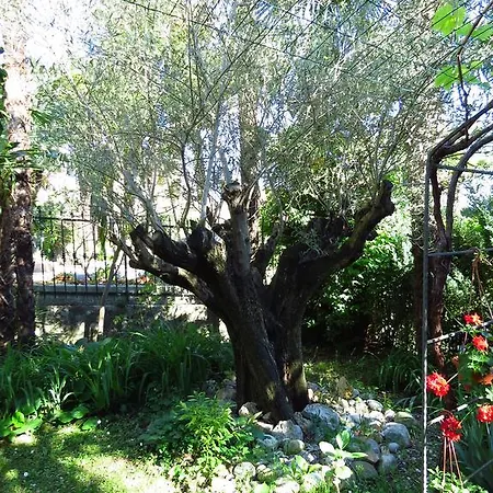 公寓 Dante Alighieri *