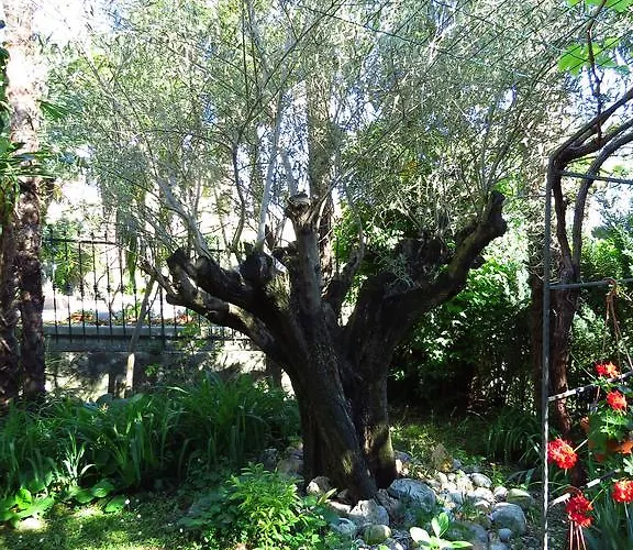 Apartament Dante Alighieri *