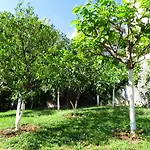 Apartman Dante Alighieri *